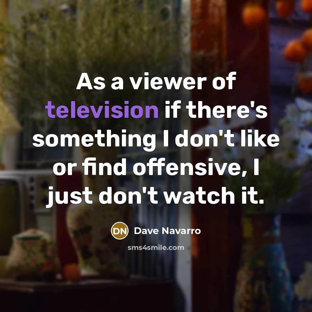 “As a viewer of television if there's something I don't like or find offensive, I just don't watch it.” quote by Dave Navarro