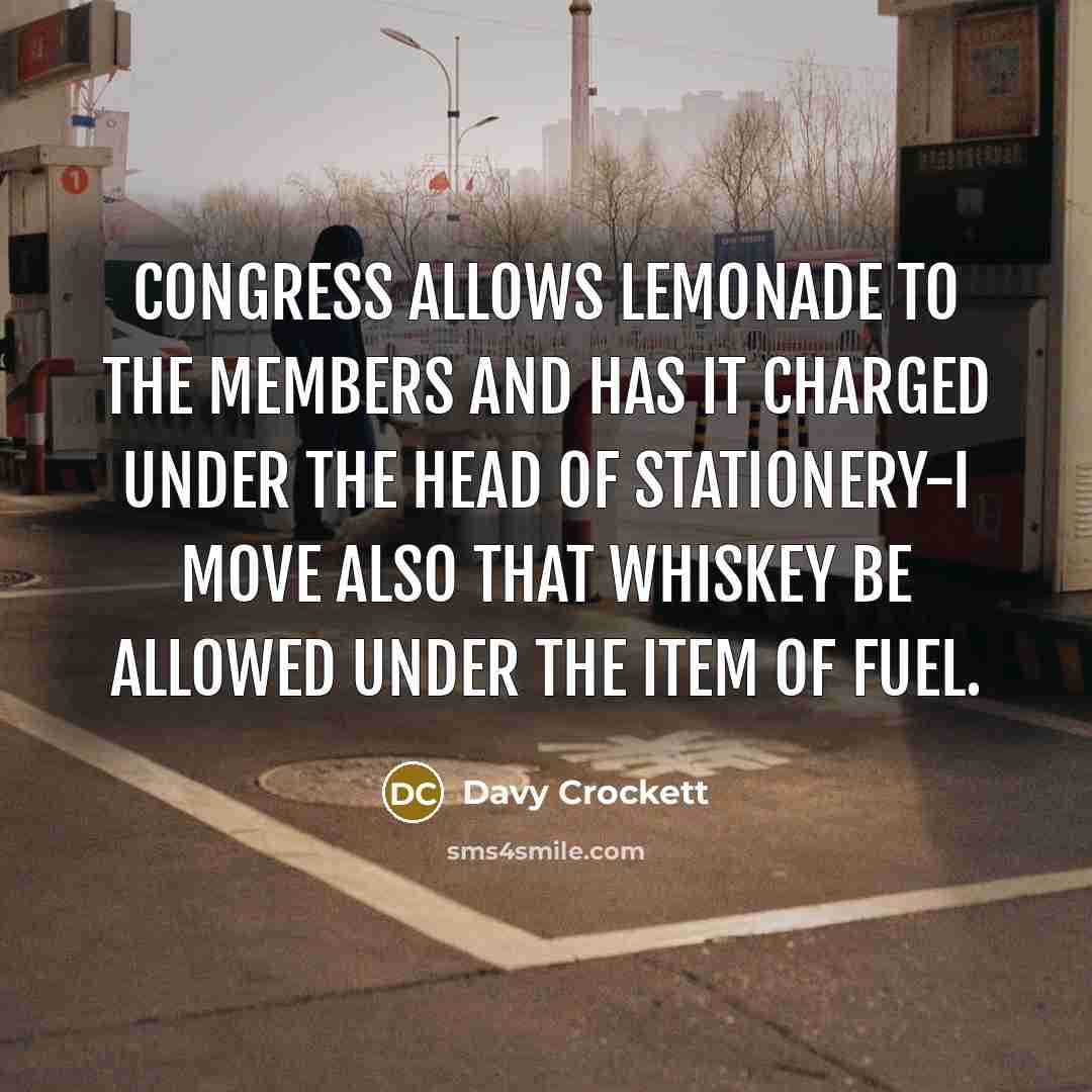 “Congress allows lemonade to the members and has it charged under the head of stationery-I move also that whiskey be allowed under the item of fuel.” quote by Davy Crockett