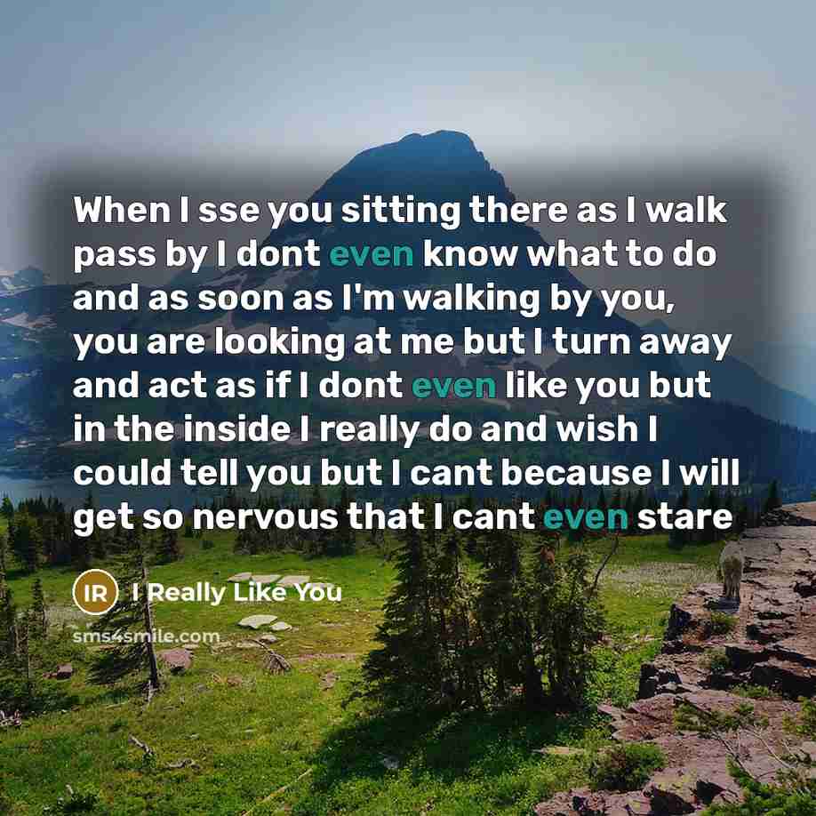 “When I sse you sitting there as I walk pass by I dont even know what to do and as soon as I'm walking by you, you are looking at me but I turn away and act as if I dont even like you but in the inside I really do and wish I could tell you but I cant because I will get so nervous that I cant even…” quote by I Really Like You