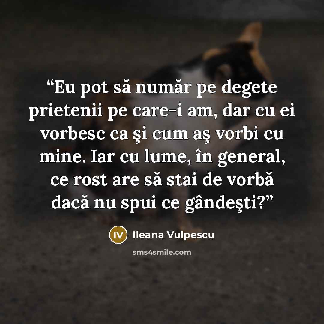 “Eu pot să număr pe degete prietenii pe care-i am, dar cu ei vorbesc ca şi cum aş vorbi cu mine. Iar cu lume, în general, ce rost are să stai de vorbă dacă nu spui ce gândeşti?” quote by Ileana Vulpescu