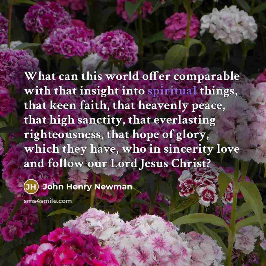 “What can this world offer comparable with that insight into spiritual things, that keen faith, that heavenly peace, that high sanctity, that everlasting righteousness, that hope of glory, which they have, who in sincerity love and follow our Lord Jesus Christ?” quote by John Henry Newman