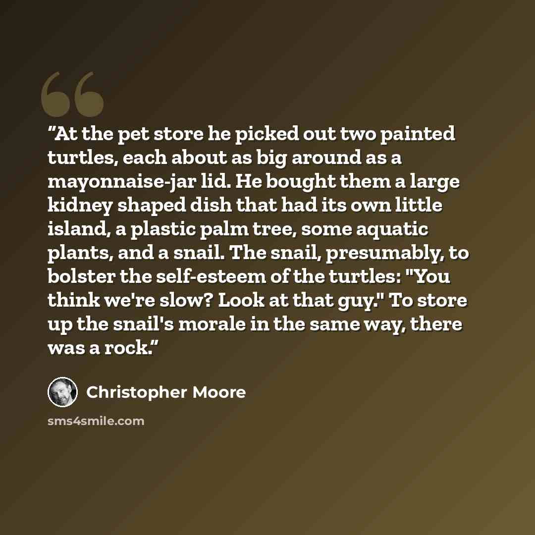 “At the pet store he picked out two painted turtles, each about as big around as a mayonnaise-jar lid. He bought them a large kidney shaped dish that had its own little island, a plastic palm tree, some aquatic plants, and a snail. The snail, presumably, to bolster the self-esteem of the turtles…” quote by Christopher Moore