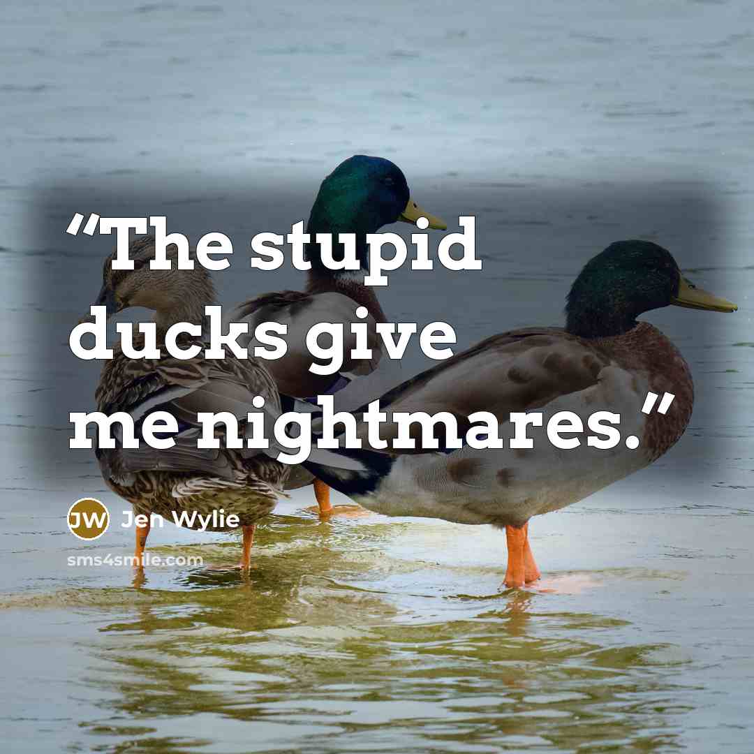 “The stupid ducks give me nightmares.” quote by Jen Wylie