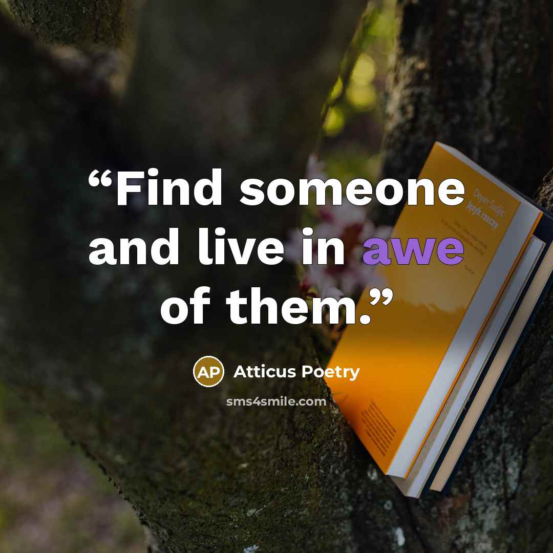 “Find someone and live in awe of them.” quote by Atticus Poetry