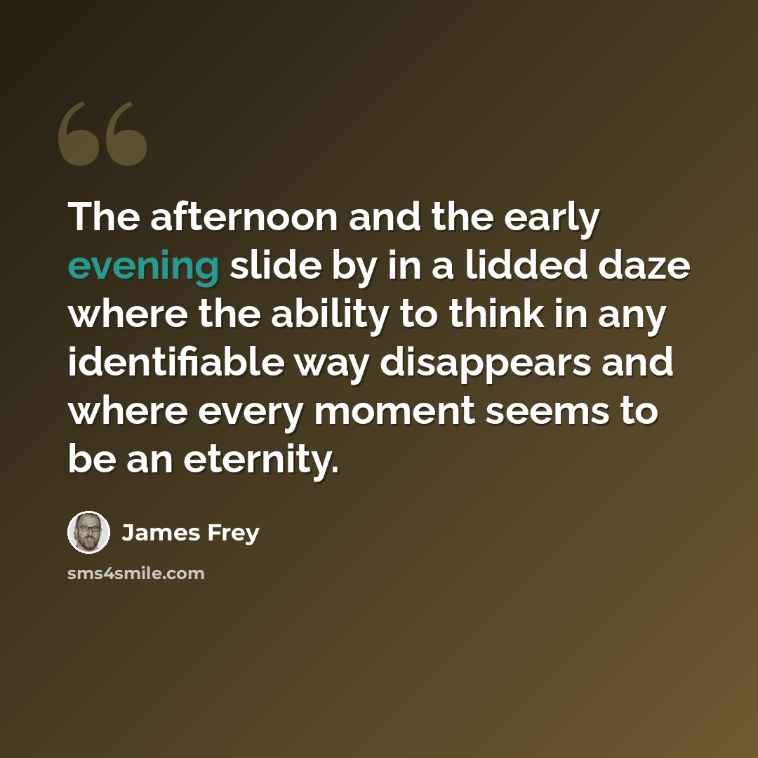 “The afternoon and the early evening slide by in a lidded daze where the ability to think in any identifiable way disappears and where every moment seems to be an eternity.” quote by James Frey