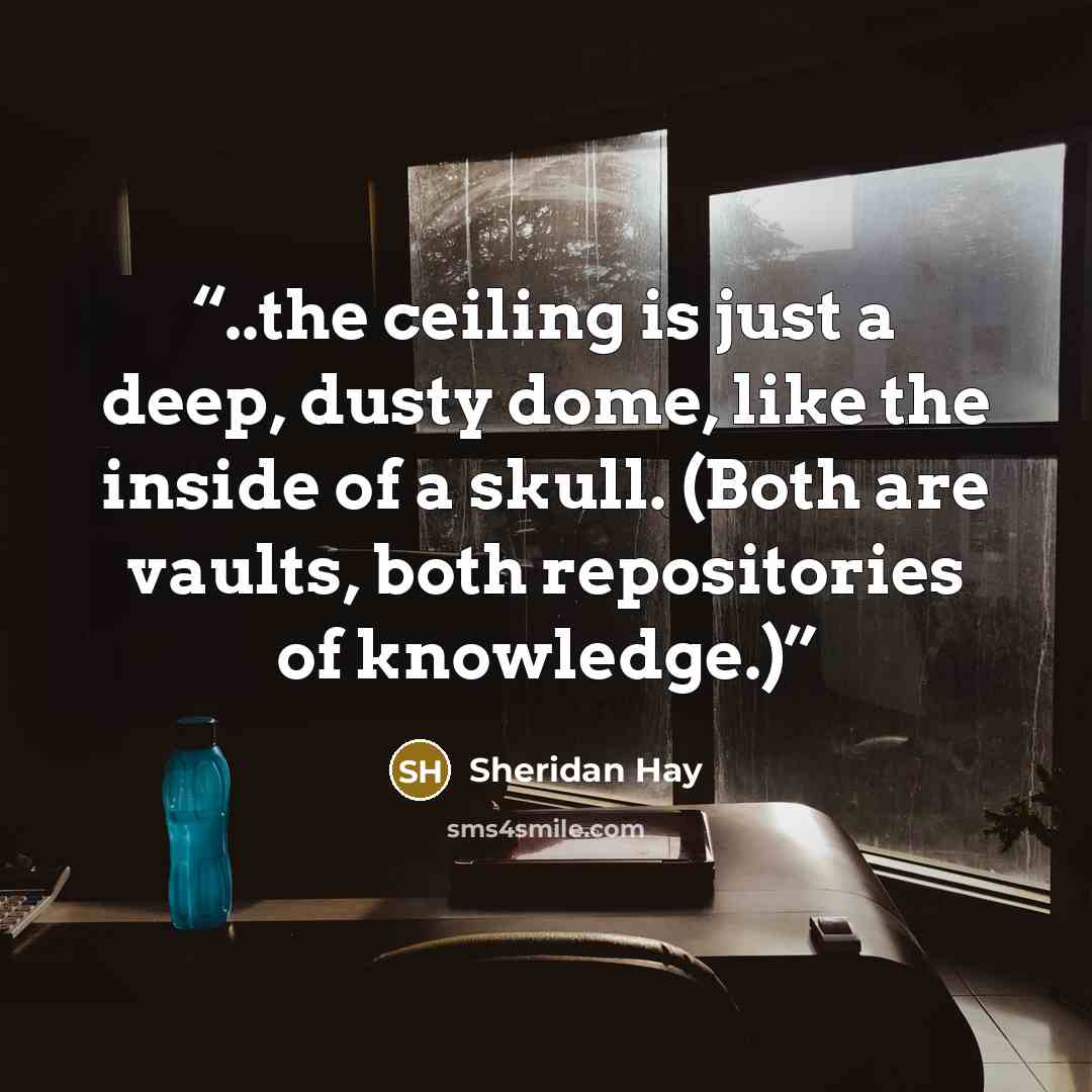 “..the ceiling is just a deep, dusty dome, like the inside of a skull. (Both are vaults, both repositories of knowledge.)” quote by Sheridan Hay