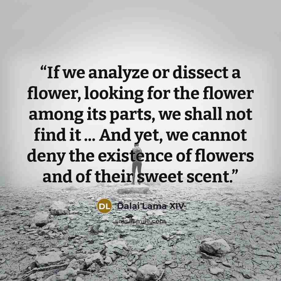 “If we analyze or dissect a flower, looking for the flower among its parts, we shall not find it ... And yet, we cannot deny the existence of flowers and of their sweet scent.” quote by Dalai Lama XIV