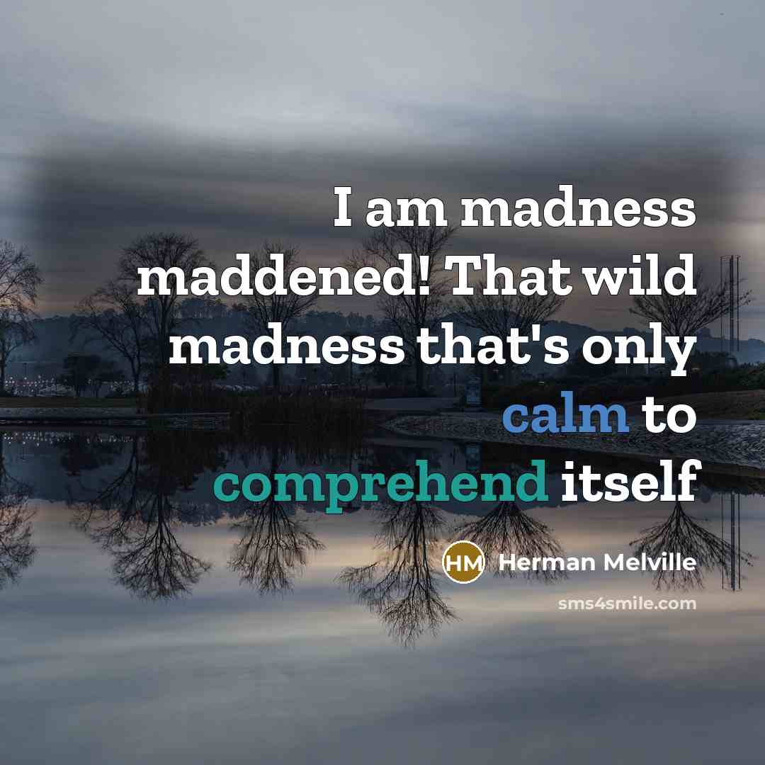 “I am madness maddened! That wild madness that's only calm to comprehend itself” quote by Herman Melville