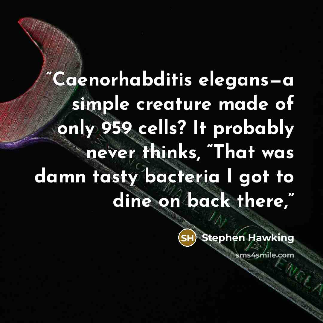“Caenorhabditis elegans—a simple creature made of only 959 cells? It probably never thinks, “That was damn tasty bacteria I got to dine on back there,” quote by Stephen Hawking