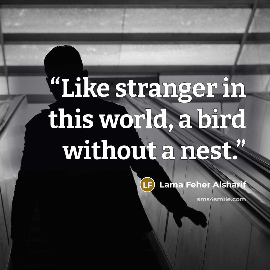 “Like stranger in this world, a bird without a nest.” quote by Lama Feher Alsharif