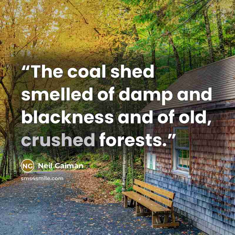 “The coal shed smelled of damp and blackness and of old, crushed forests.” quote by Neil Gaiman