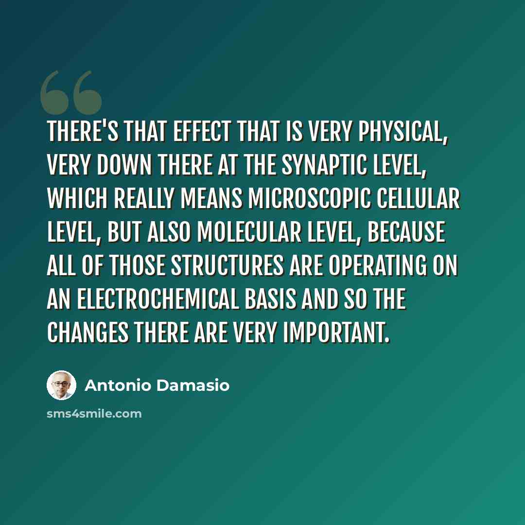 “There's that effect that is very physical, very down there at the synaptic level, which really means microscopic cellular level, but also molecular level, because all of those structures are operating on an electrochemical basis and so the changes there are very important.” quote by Antonio Damasio