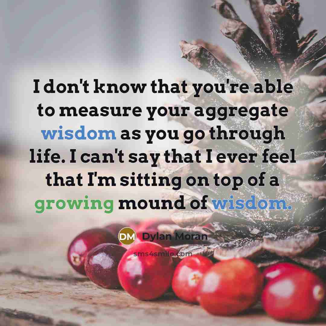 “I don't know that you're able to measure your aggregate wisdom as you go through life. I can't say that I ever feel that I'm sitting on top of a growing mound of wisdom.” quote by Dylan Moran