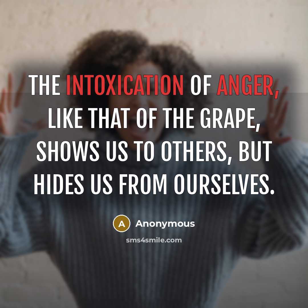 “The intoxication of anger, like that of the grape, shows us to others, but hides us from ourselves.” quote by Anonymous