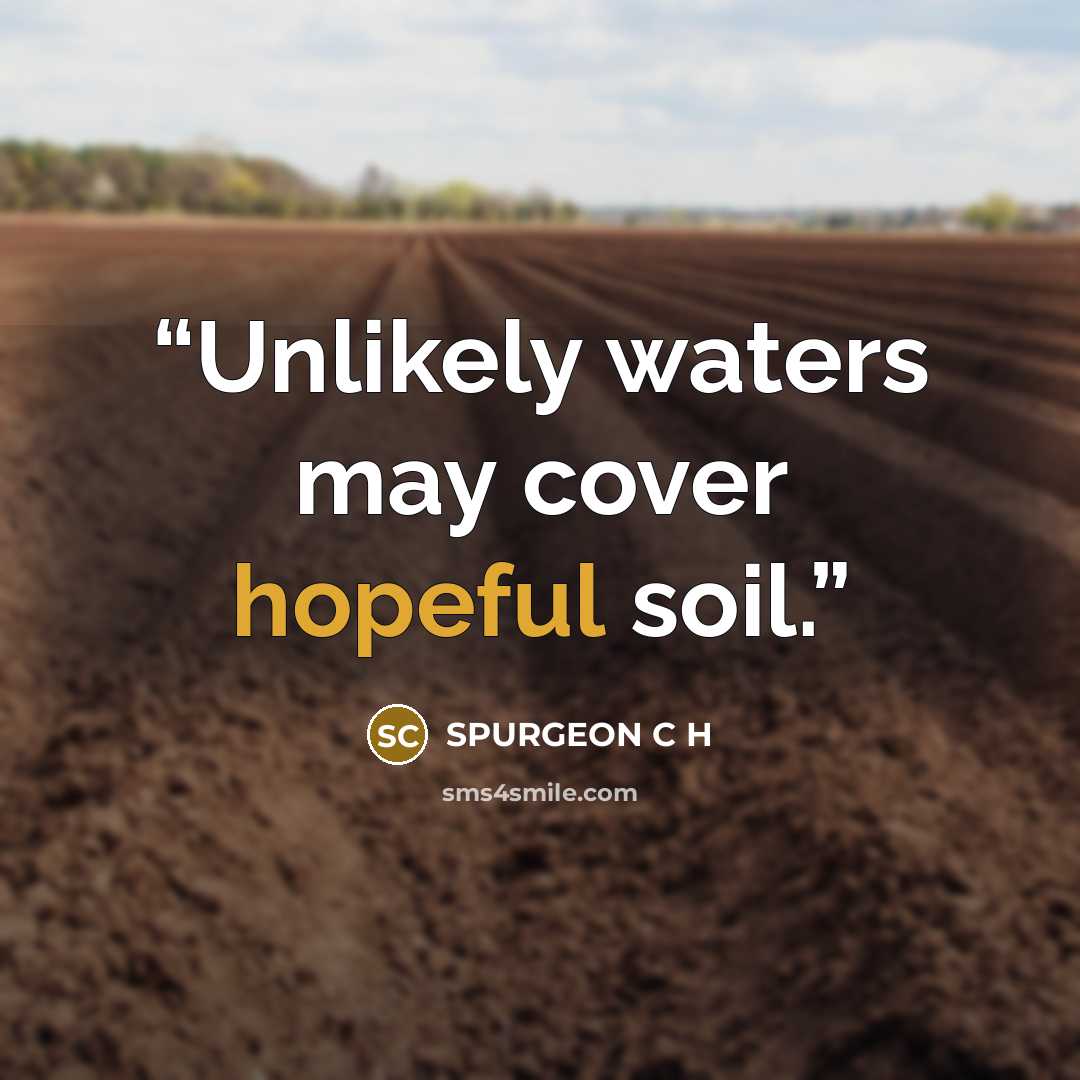 “Unlikely waters may cover hopeful soil.” quote by SPURGEON C H