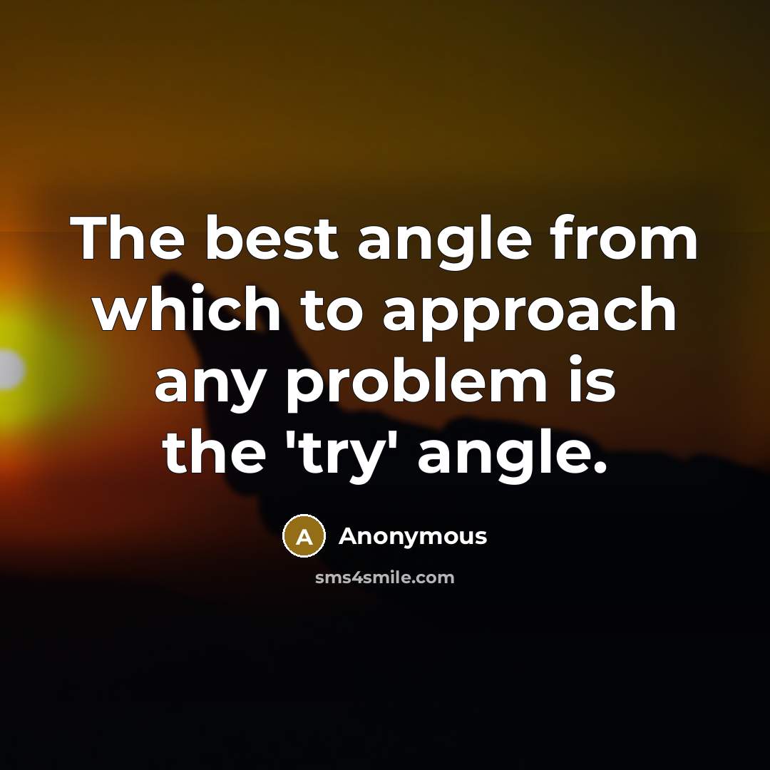 “The best angle from which to approach any problem is the 'try' angle.” quote by Anonymous