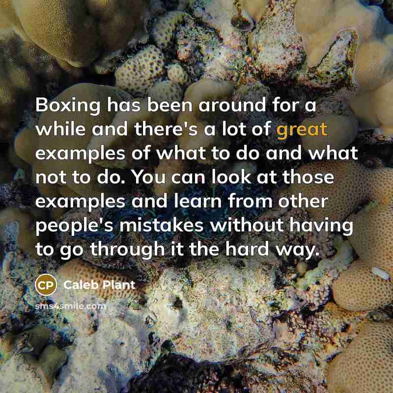 “Boxing has been around for a while and there's a lot of great examples of what to do and what not to do. You can look at those examples and learn from other people's mistakes without having to go through it the hard way.” quote by Caleb Plant