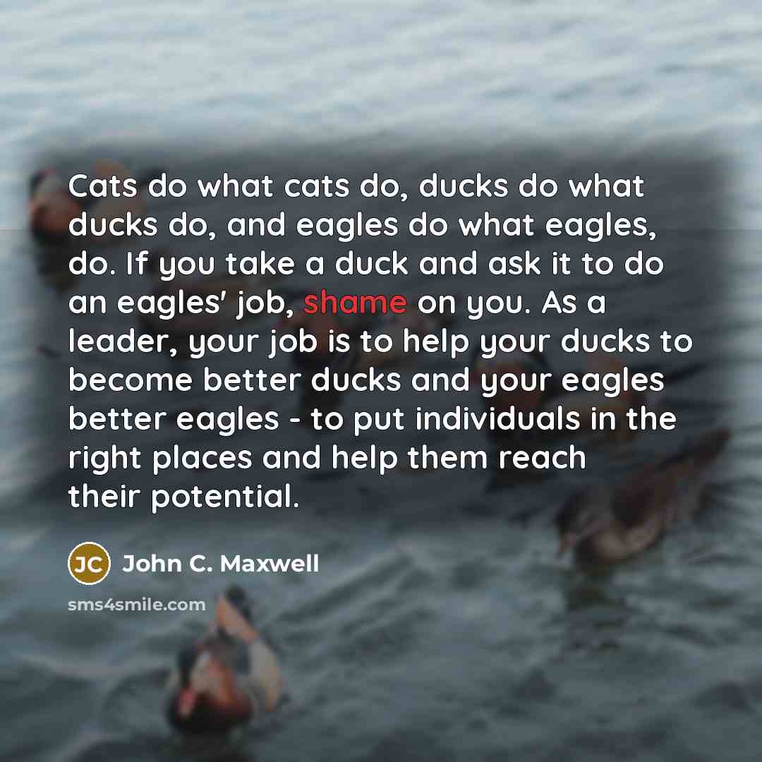 “Cats do what cats do, ducks do what ducks do, and eagles do what eagles, do. If you take a duck and ask it to do an eagles' job, shame on you. As a leader, your job is to help your ducks to become better ducks and your eagles better eagles - to put individuals in the right places and help them…” quote by John C. Maxwell