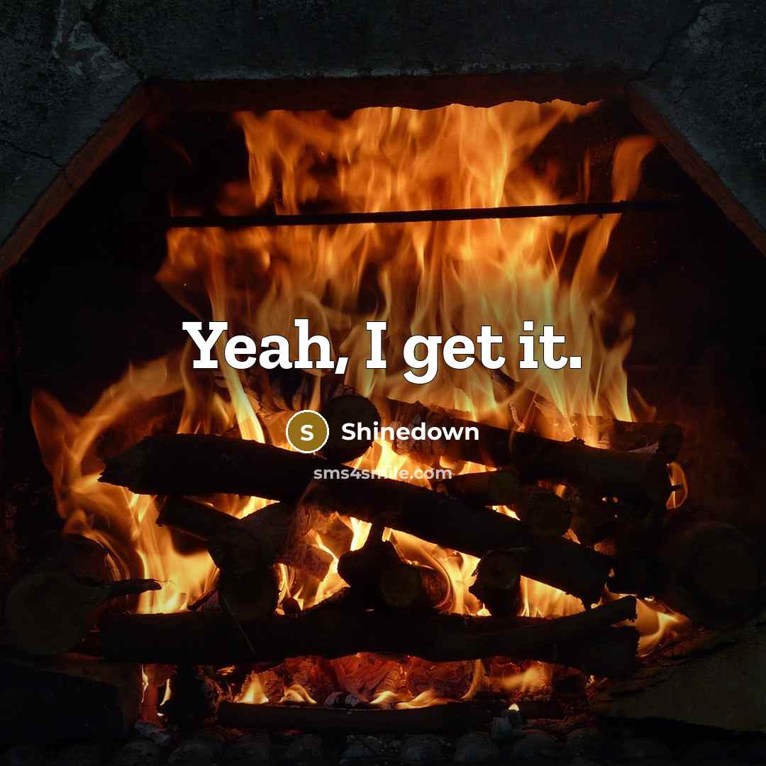 “Yeah, I get it.” quote by Shinedown