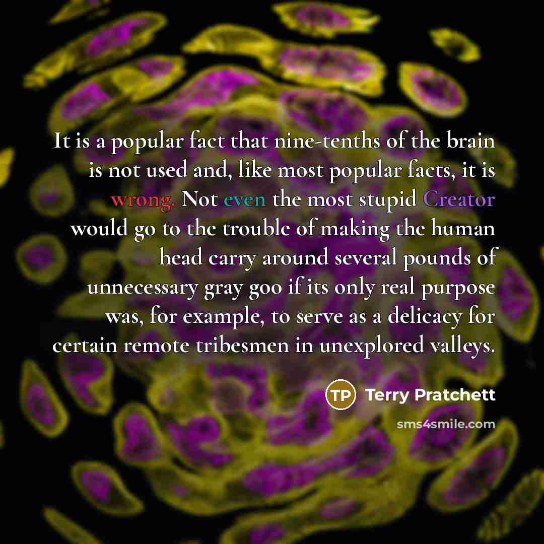 “It is a popular fact that nine-tenths of the brain is not used and, like most popular facts, it is wrong. Not even the most stupid Creator would go to the trouble of making the human head carry around several pounds of unnecessary gray goo if its only real purpose was, for example, to serve as a…” quote by Terry Pratchett