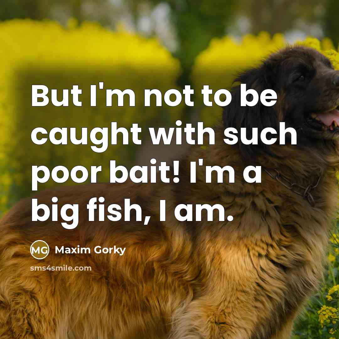 “But I'm not to be caught with such poor bait! I'm a big fish, I am.” quote by Maxim Gorky