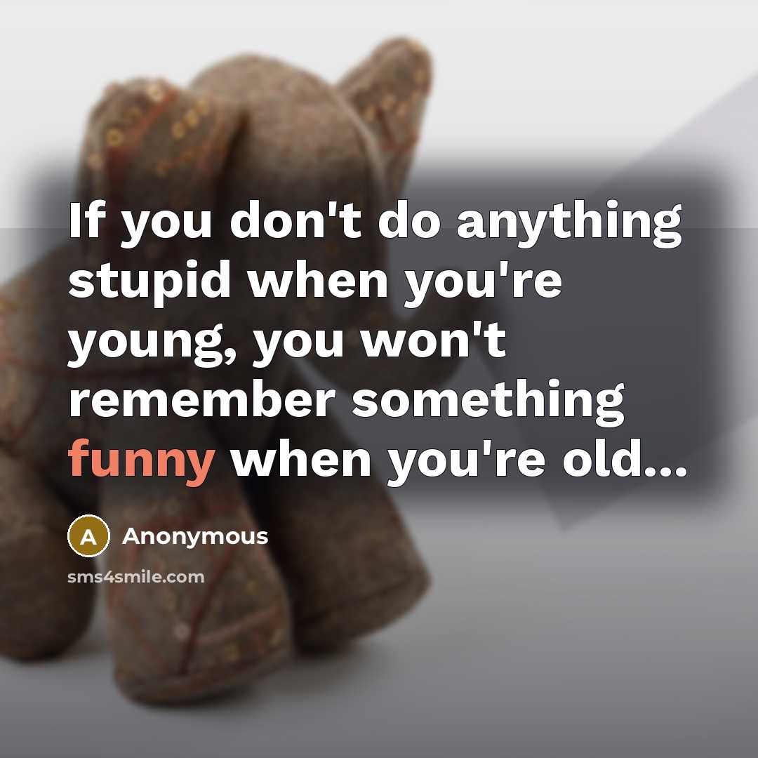 “If you don't do anything stupid when you're young, you won't remember something funny when you're old...” quote by Anonymous