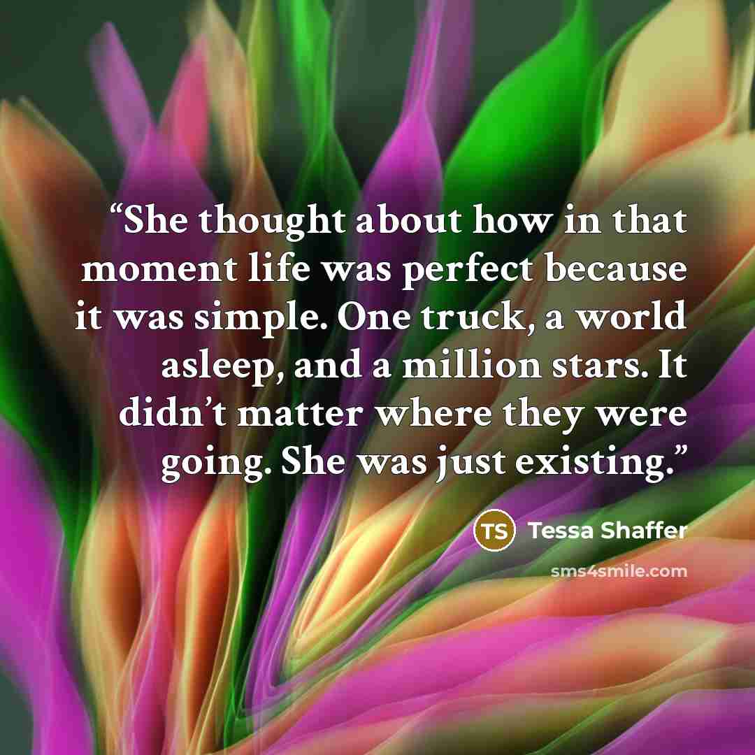 “She thought about how in that moment life was perfect because it was simple. One truck, a world asleep, and a million stars. It didn’t matter where they were going. She was just existing.” quote by Tessa Shaffer