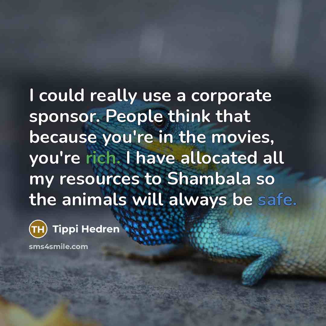 “I could really use a corporate sponsor. People think that because you're in the movies, you're rich. I have allocated all my resources to Shambala so the animals will always be safe.” quote by Tippi Hedren
