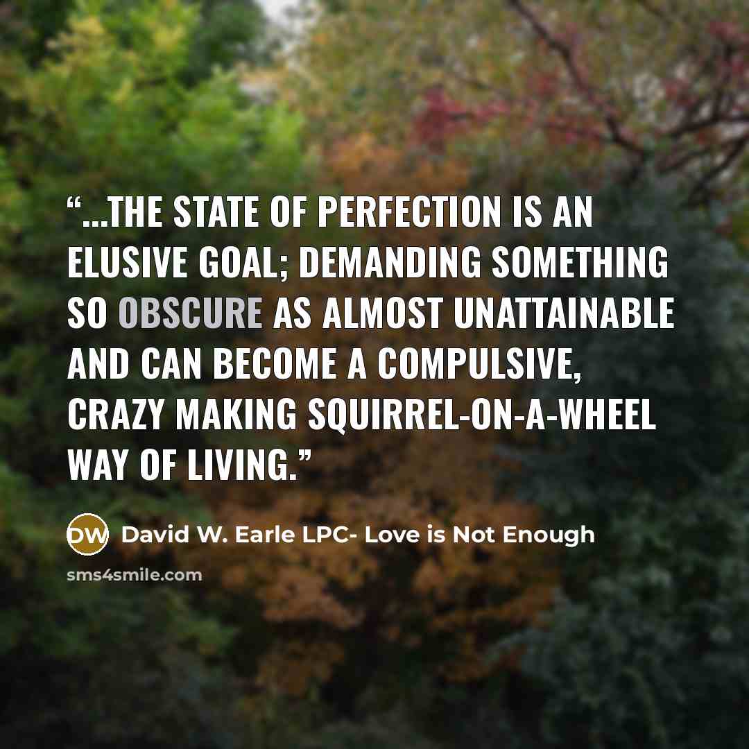 “...the state of perfection is an elusive goal; demanding something so obscure as almost unattainable and can become a compulsive, crazy making squirrel-on-a-wheel way of living.” quote by David W. Earle LPC- Love is Not Enough