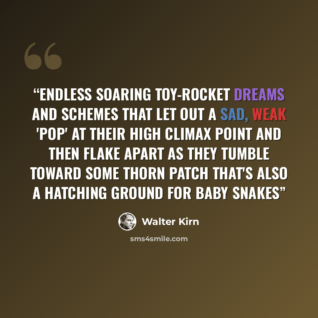 “endless soaring toy-rocket dreams and schemes that let out a sad, weak 'pop' at their high climax point and then flake apart as they tumble toward some thorn patch that's also a hatching ground for baby snakes” quote by Walter Kirn