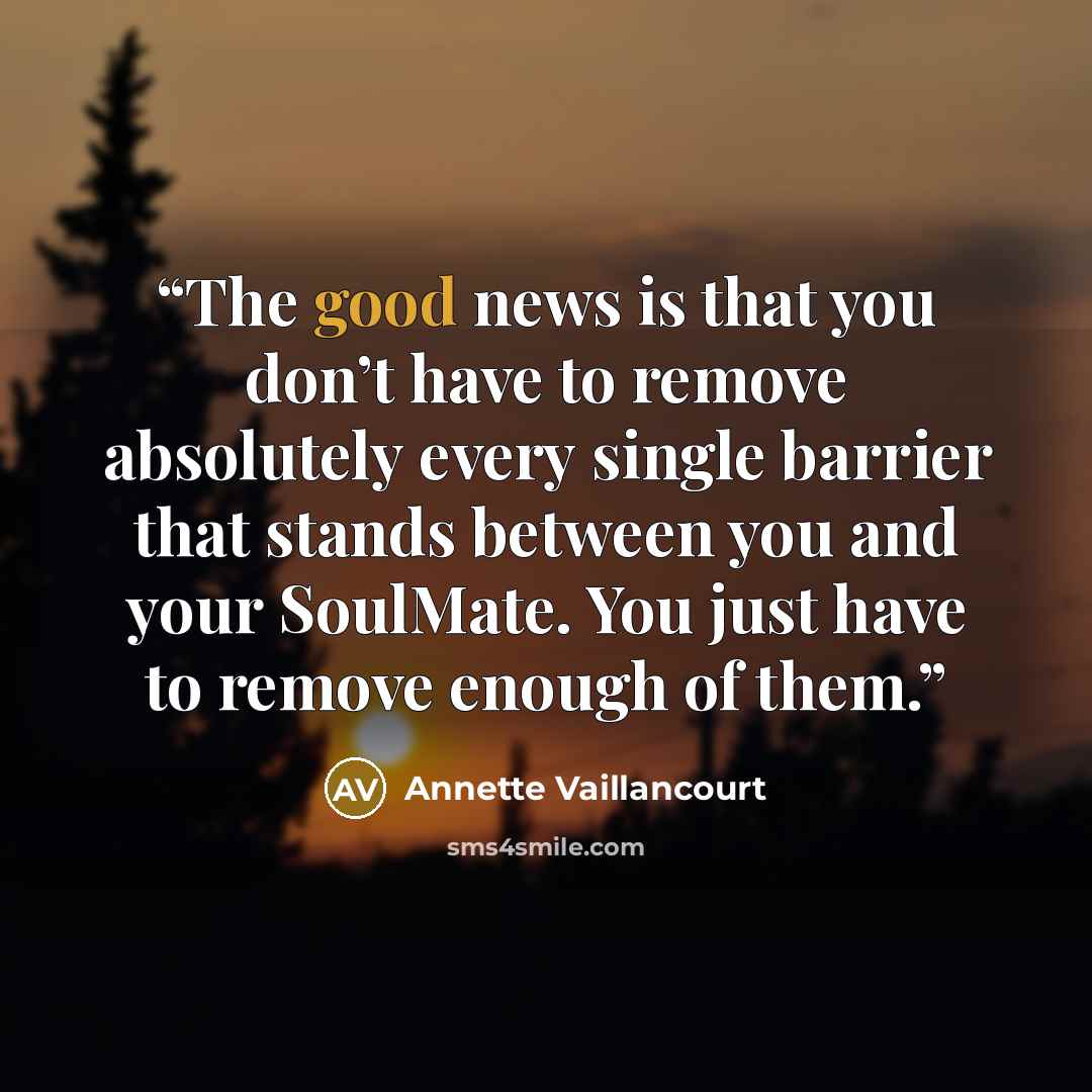 “The good news is that you don’t have to remove absolutely every single barrier that stands between you and your SoulMate. You just have to remove enough of them.” quote by Annette Vaillancourt