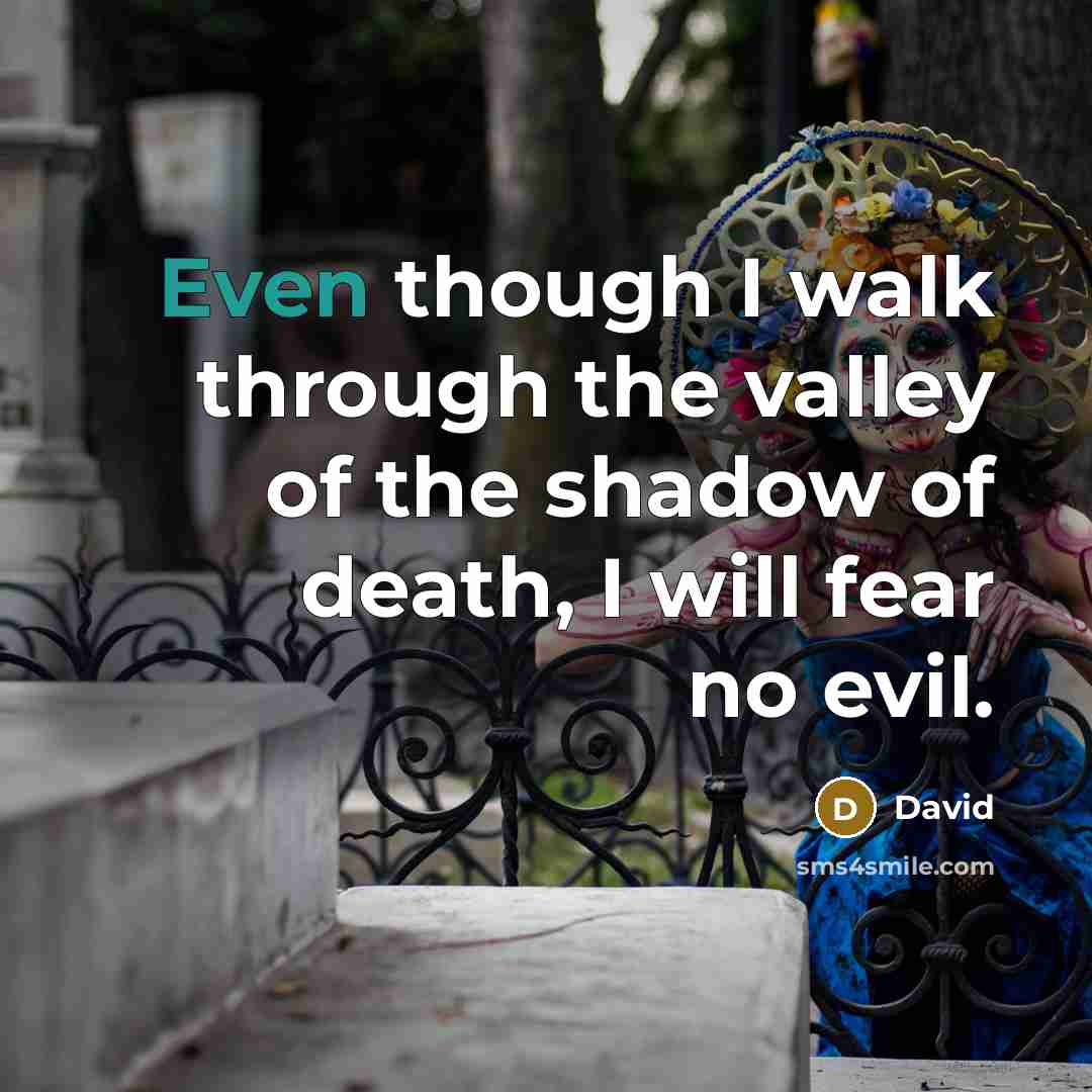 “Even though I walk through the valley of the shadow of death, I will fear no evil.” quote by David