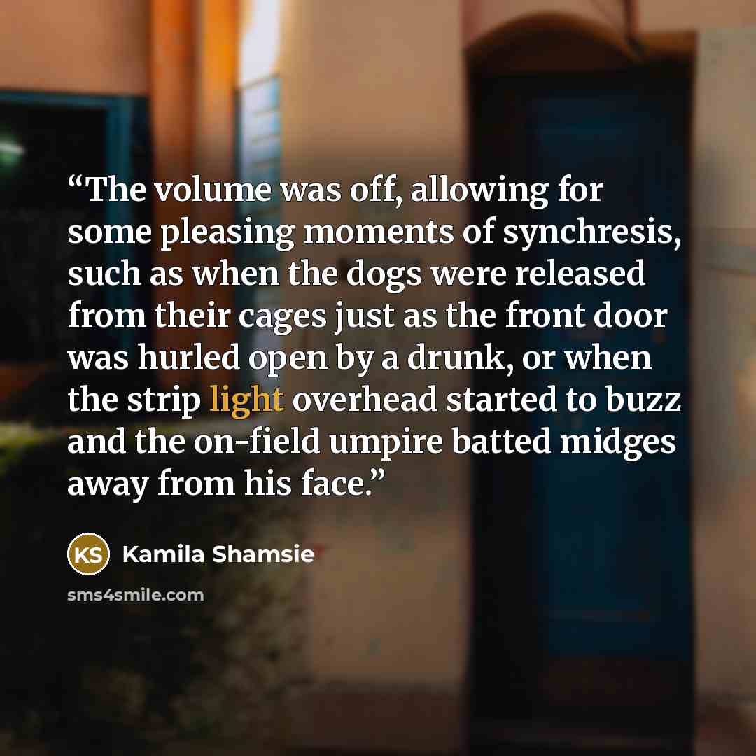 “The volume was off, allowing for some pleasing moments of synchresis, such as when the dogs were released from their cages just as the front door was hurled open by a drunk, or when the strip light overhead started to buzz and the on-field umpire batted midges away from his face.” quote by Kamila Shamsie