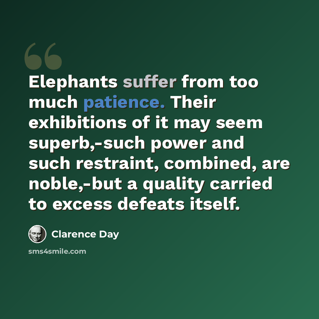 “Elephants suffer from too much patience. Their exhibitions of it may seem superb,-such power and such restraint, combined, are noble,-but a quality carried to excess defeats itself.” quote by Clarence Day