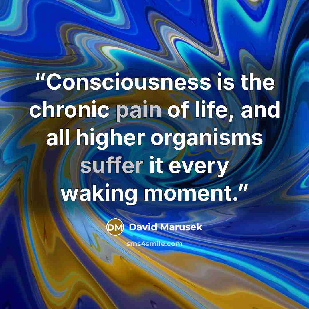 “Consciousness is the chronic pain of life, and all higher organisms suffer it every waking moment.” quote by David Marusek