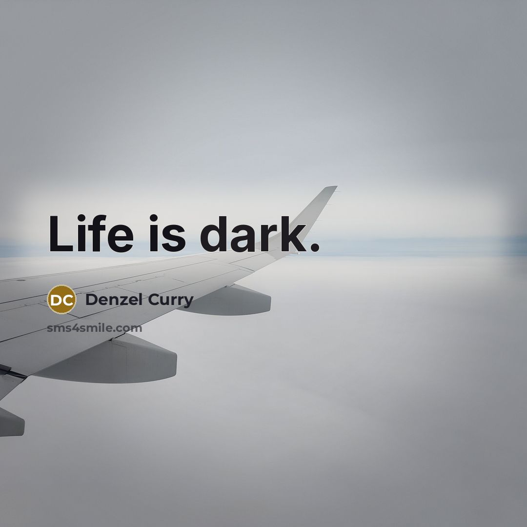“Life is dark.” quote by Denzel Curry