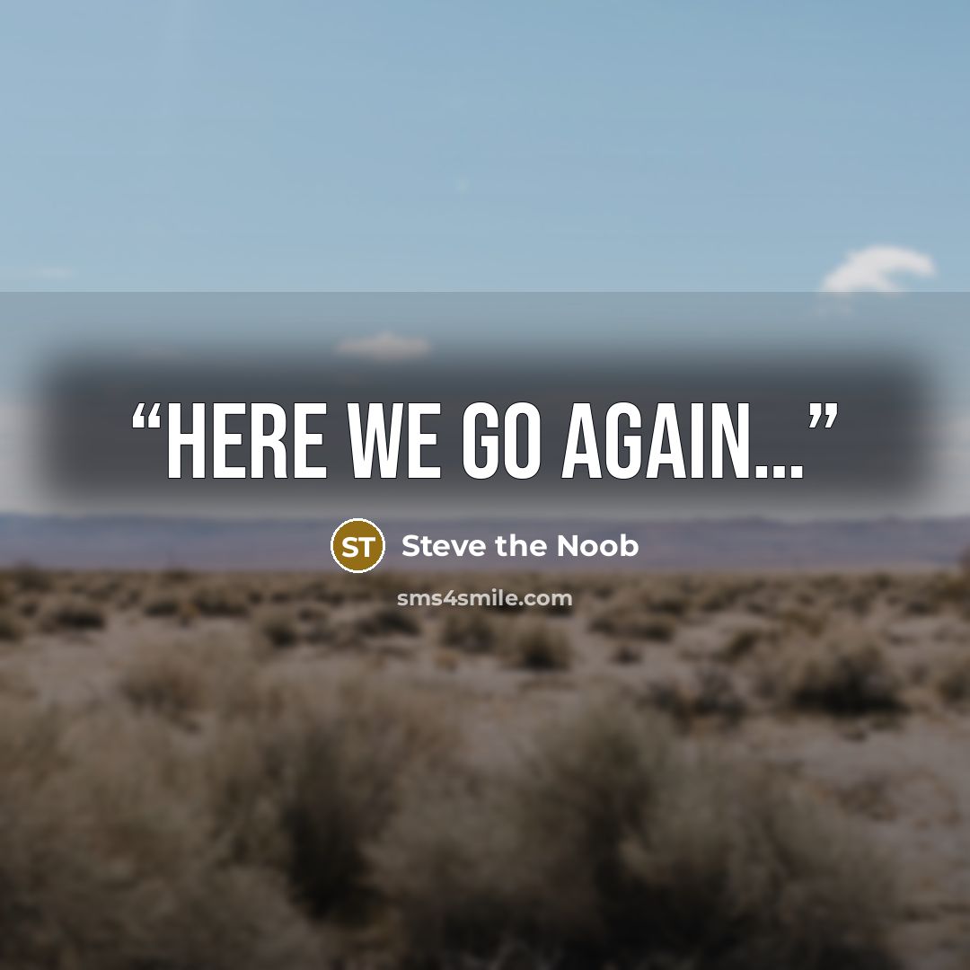“Here we go again…” quote by Steve the Noob