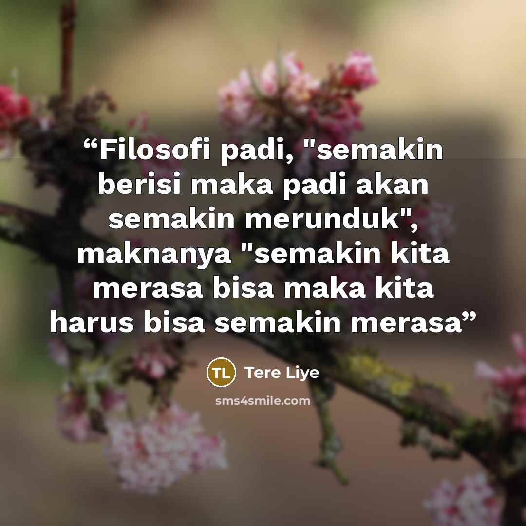 “Filosofi padi, "semakin berisi maka padi akan semakin merunduk", maknanya "semakin kita merasa bisa maka kita harus bisa semakin merasa” quote by Tere Liye