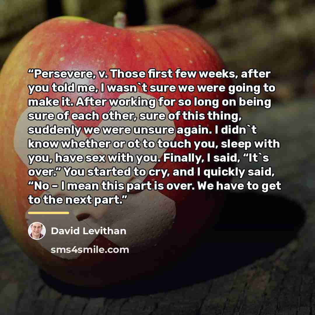 “Persevere, v. Those first few weeks, after you told me, I wasn't sure we were going to make it. After working for so long on being sure of each other, sure of this thing, suddenly we were unsure again. I didn't know whether or ot to touch you, sleep with you, have sex with you. Finally, I said…” quote by David Levithan