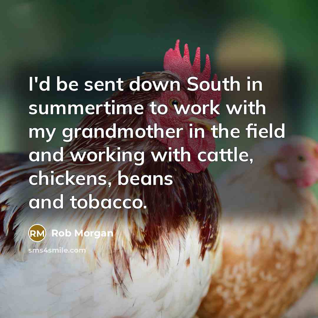 “I'd be sent down South in summertime to work with my grandmother in the field and working with cattle, chickens, beans and tobacco.” quote by Rob Morgan