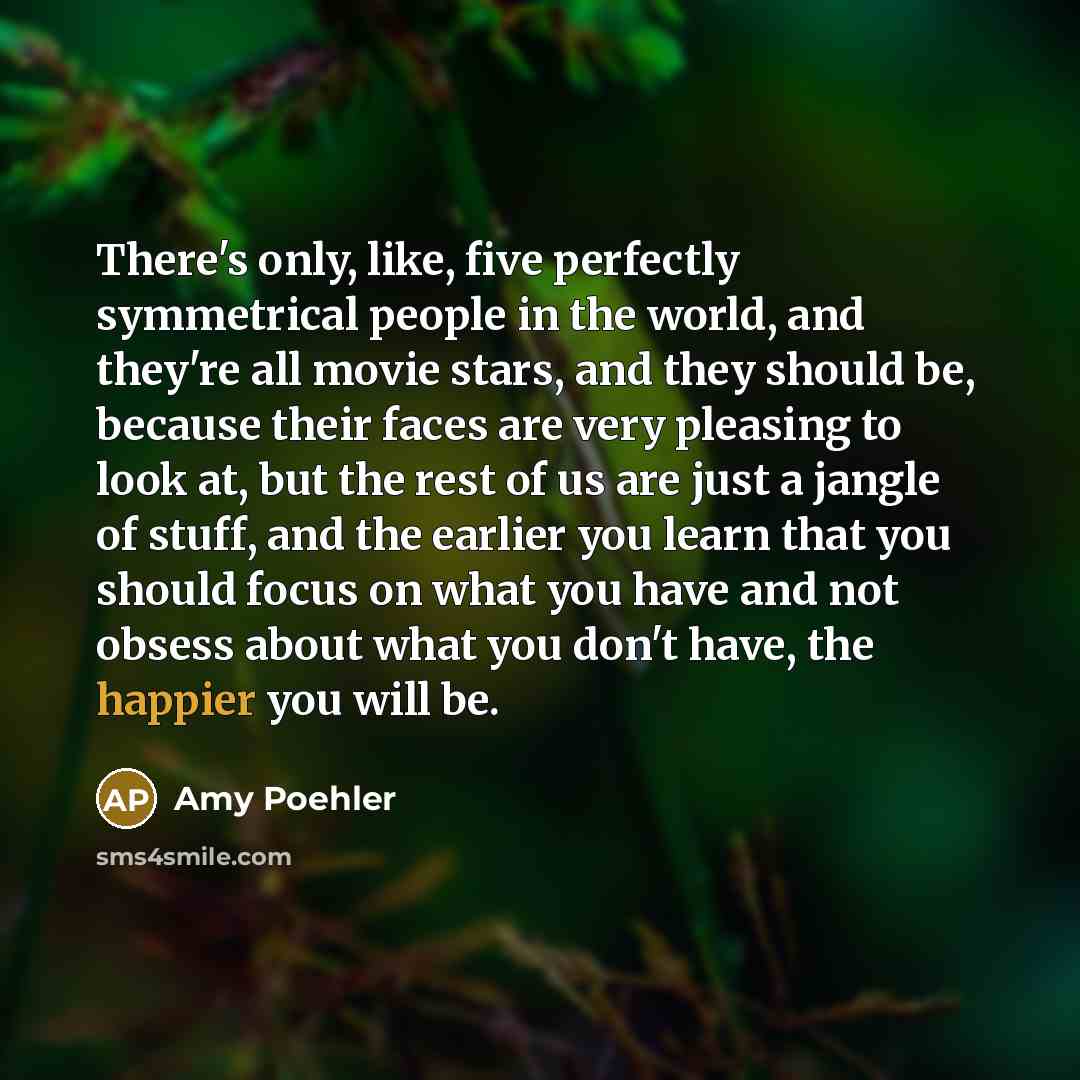 “There's only, like, five perfectly symmetrical people in the world, and they're all movie stars, and they should be, because their faces are very pleasing to look at, but the rest of us are just a jangle of stuff, and the earlier you learn that you should focus on what you have and not obsess…” quote by Amy Poehler