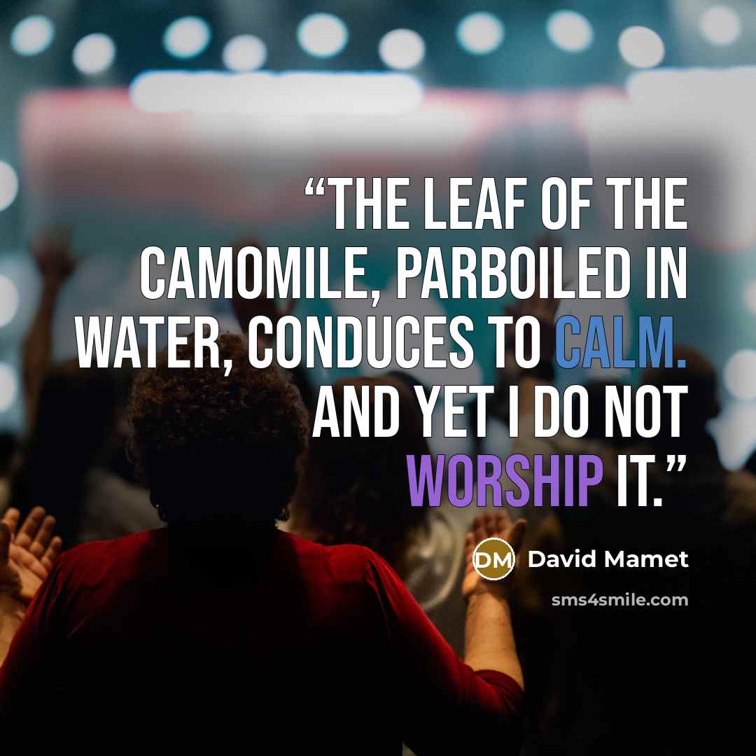 “The leaf of the camomile, parboiled in water, conduces to calm. And yet I do not worship it.” quote by David Mamet