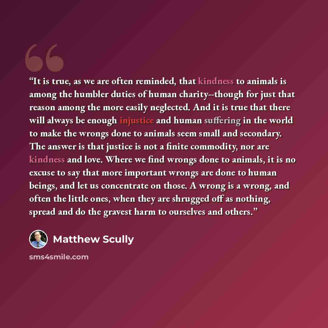 “It is true, as we are often reminded, that kindness to animals is among the humbler duties of human charity--though for just that reason among the more easily neglected. And it is true that there will always be enough injustice and human suffering in the world to make the wrongs done to animals…” quote by Matthew Scully