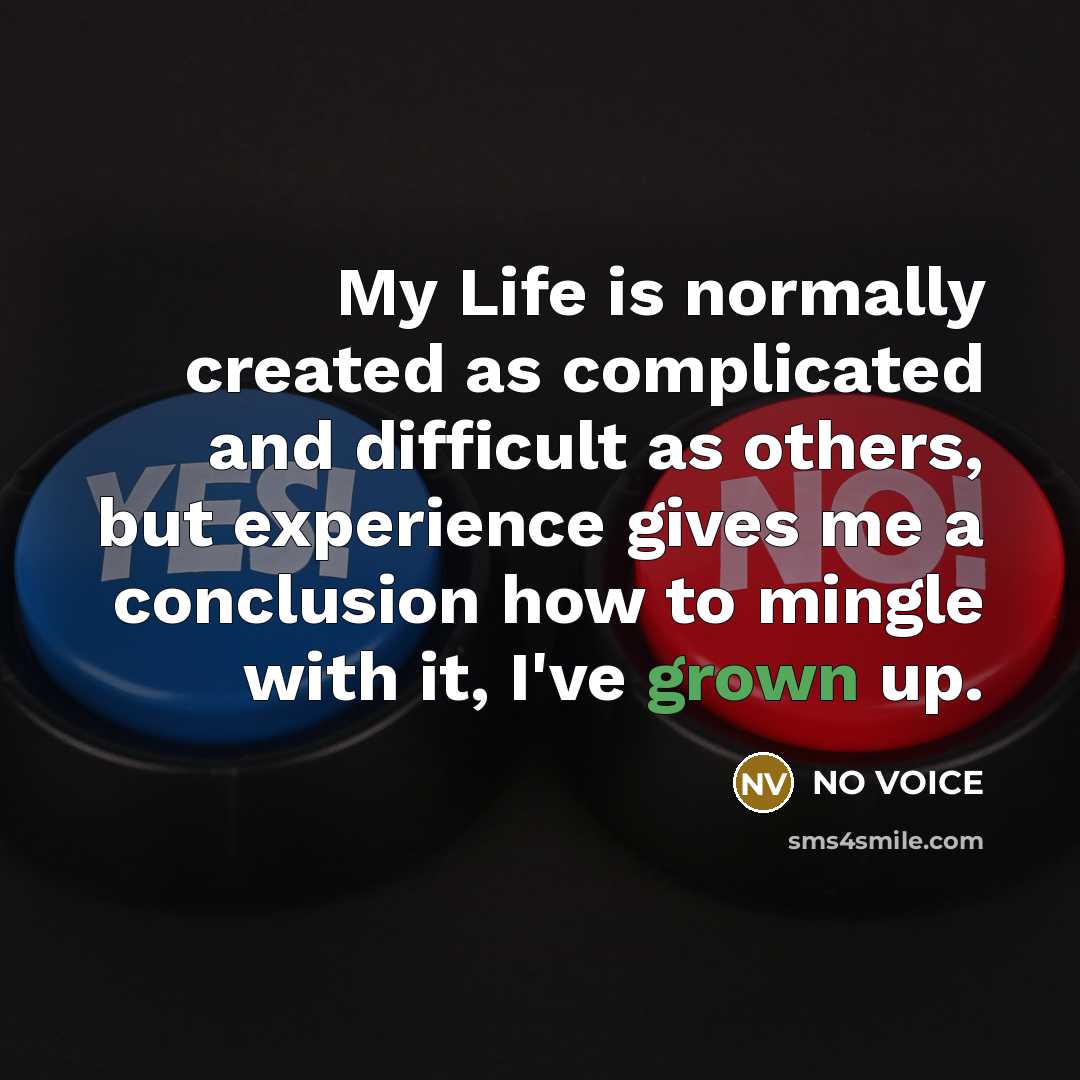 “My Life is normally created as complicated and difficult as others, but experience gives me a conclusion how to mingle with it, I've grown up.” quote by NO VOICE