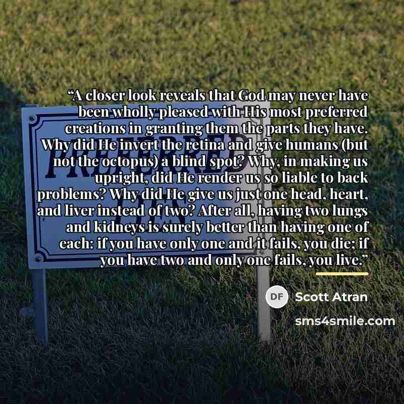 “A closer look reveals that God may never have been wholly pleased with His most preferred creations in granting them the parts they have. Why did He invert the retina and give humans (but not the octopus) a blind spot? Why, in making us upright, did He render us so liable to back problems? Why did…” quote by Scott Atran