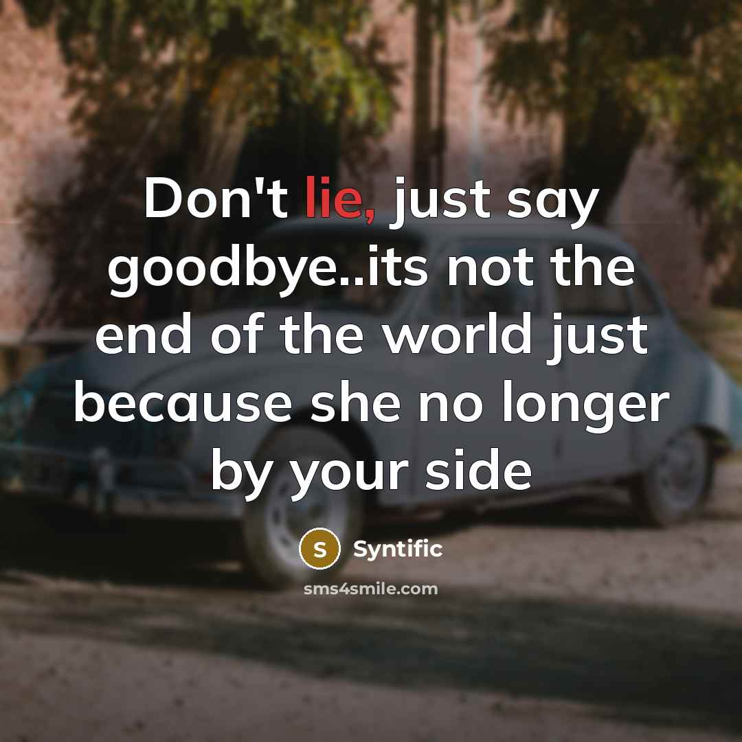 “Don't lie, just say goodbye..its not the end of the world just because she no longer by your side” quote by Syntific