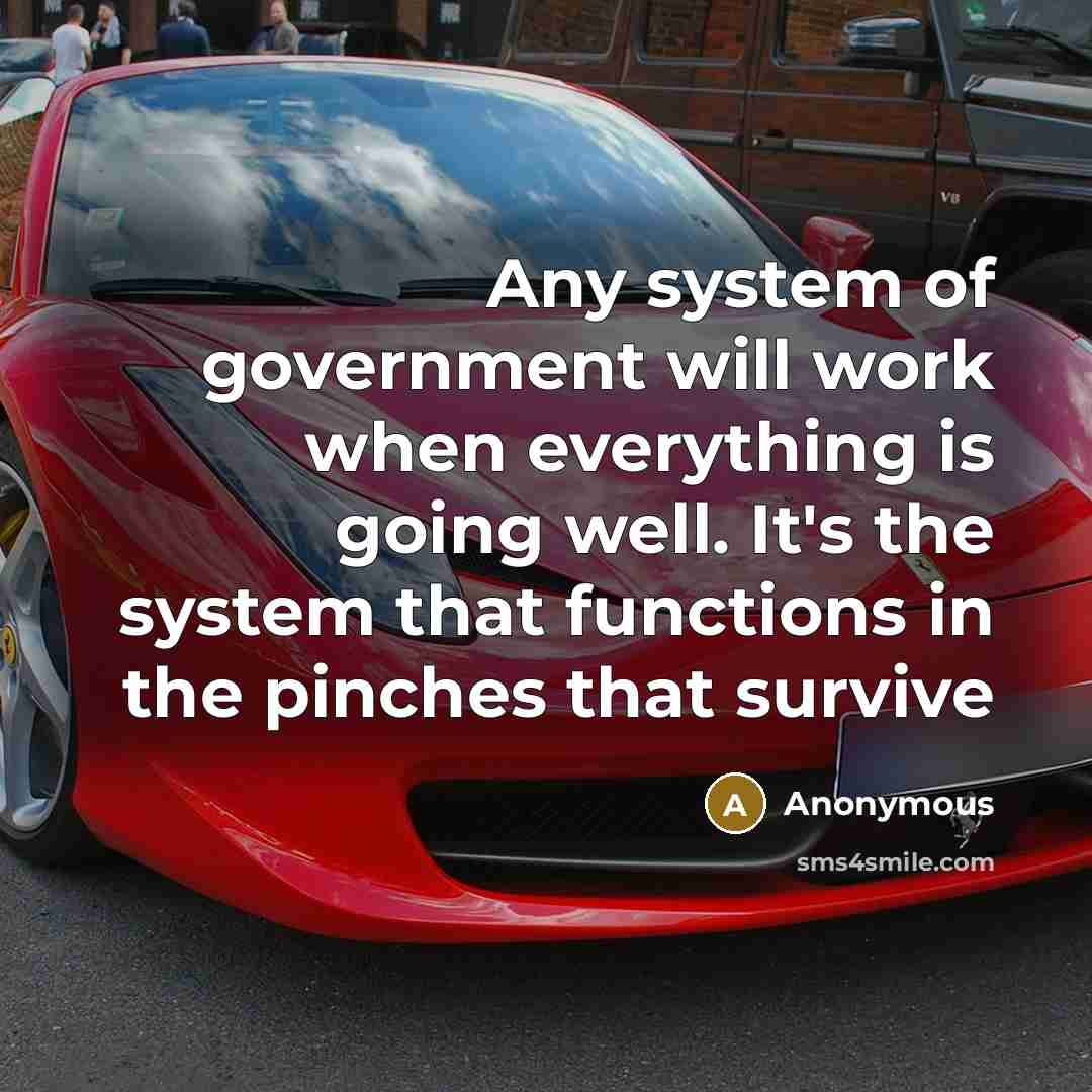 “Any system of government will work when everything is going well. It's the system that functions in the pinches that survive” quote by Anonymous