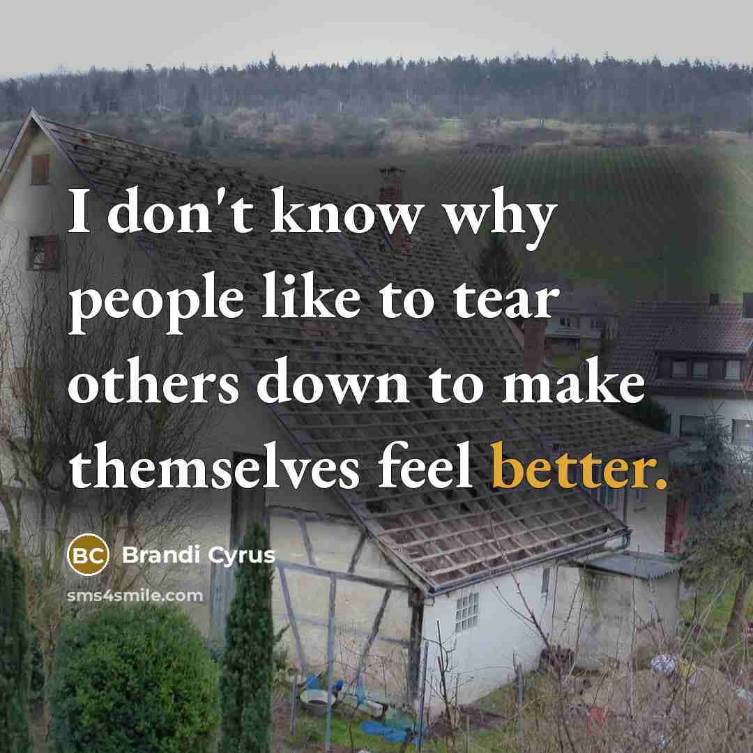 “I don't know why people like to tear others down to make themselves feel better.” quote by Brandi Cyrus
