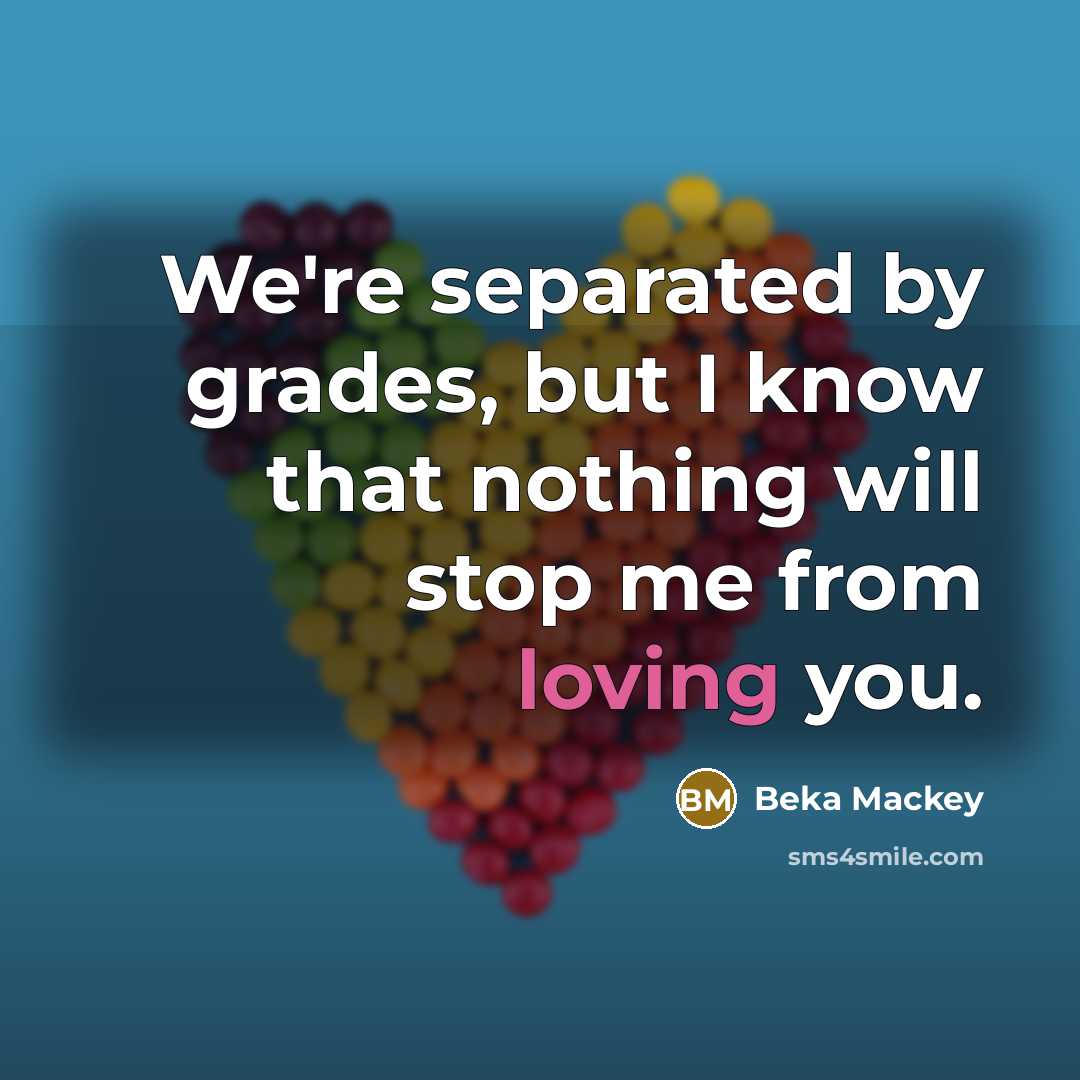 “We're separated by grades, but I know that nothing will stop me from loving you.” quote by Beka Mackey