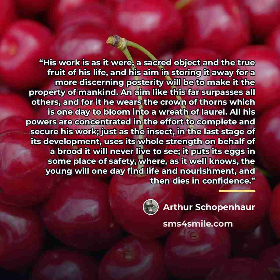 “His work is as it were, a sacred object and the true fruit of his life, and his aim in storing it away for a more discerning posterity will be to make it the property of mankind. An aim like this far surpasses all others, and for it he wears the crown of thorns which is one day to bloom into a…” quote by Arthur Schopenhaur